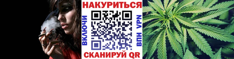 наркотики  Кировск  Каннабис сатива 